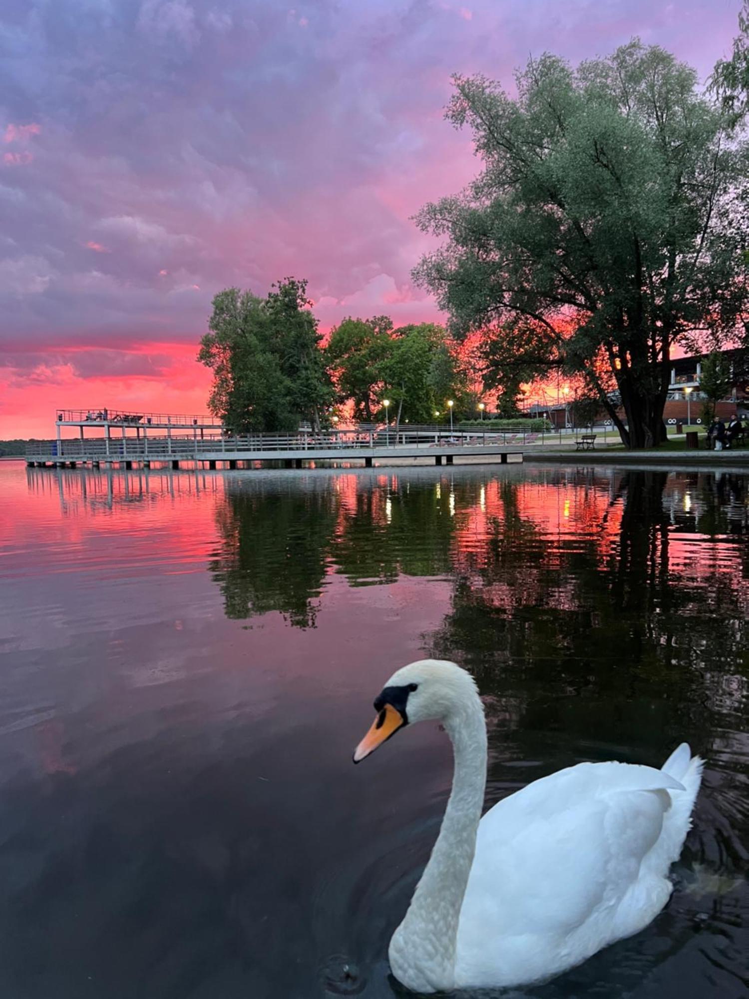 Apartament Ptasie Radio Szczecinek Bagian luar foto